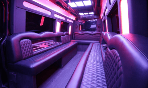 St Cloud 14 Passenger Sprinter Bus Interior