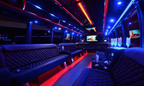 Rochester 30 Passenger Party Bus Black Interior